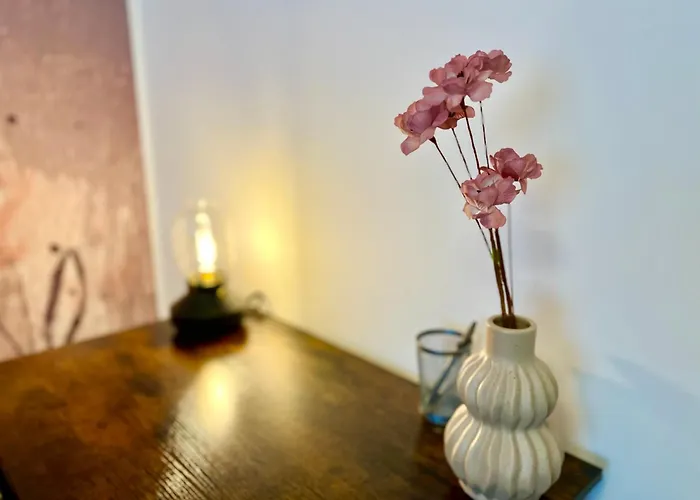 Appartement Main Cozy Casa Peterplatz Würzburg