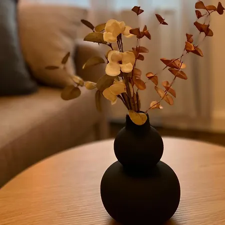 Daire Main Cozy Casa Peterplatz Würzburg