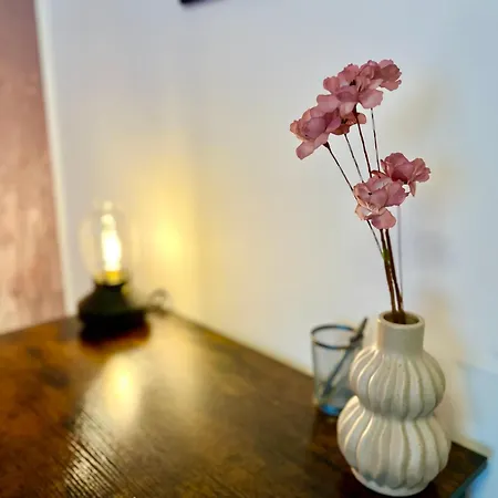 Daire Main Cozy Casa Peterplatz Würzburg